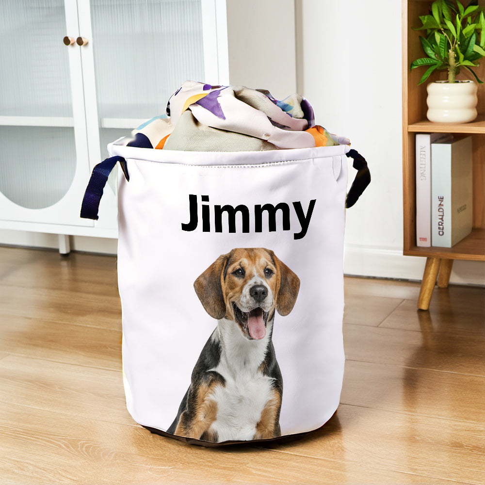 Pet Storage Basket