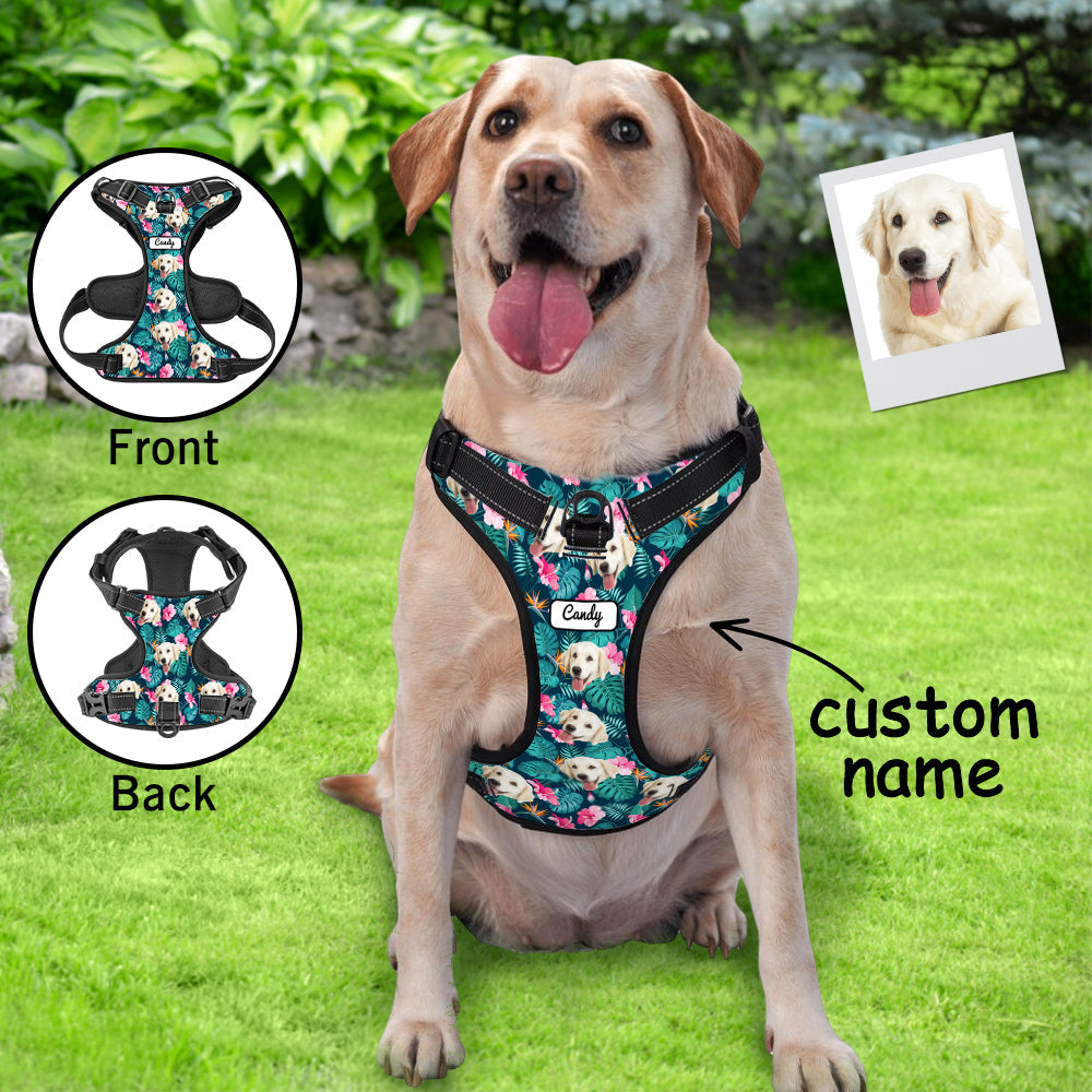 Reflective Dog Harness Vest