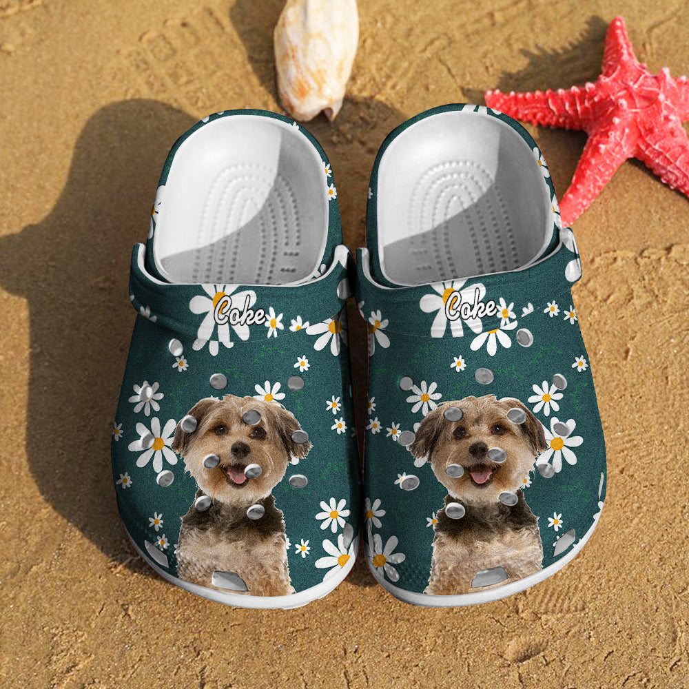Floral Pet Clogs