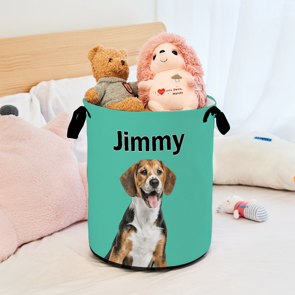 Pet Storage Basket